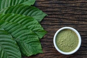 The Best Kratom Brands for Premium Quality at Every Dose